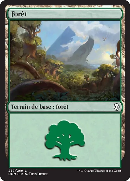 Forêt, carte Magic DOM 267 — extension Dominaria