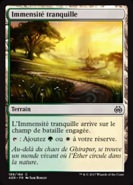 Immensité tranquille, carte Magic AER 189 — extension La révolte éthérique