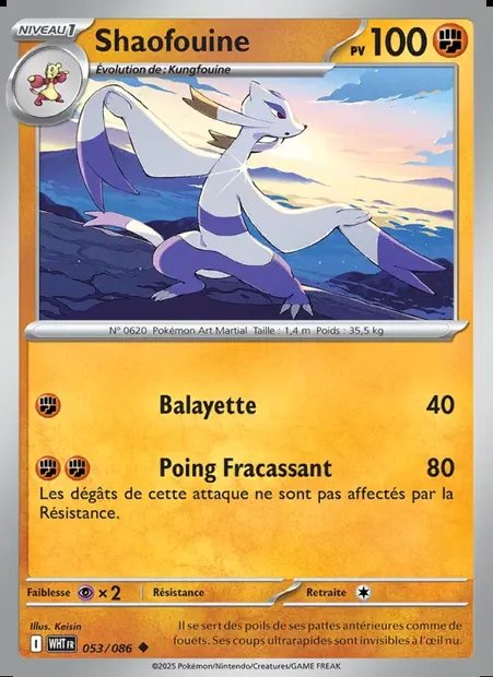 Shaofouine, carte Pokémon WHT 053 — extension Flamme Blanche
