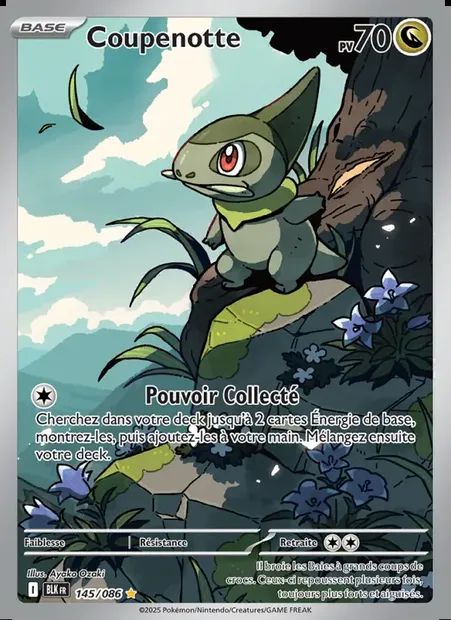Coupenotte, carte Pokémon BLK 145 — extension Foudre Noire