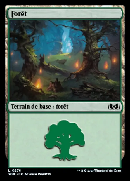Forêt, carte Magic WOE 276 — extension Wilds of Eldraine