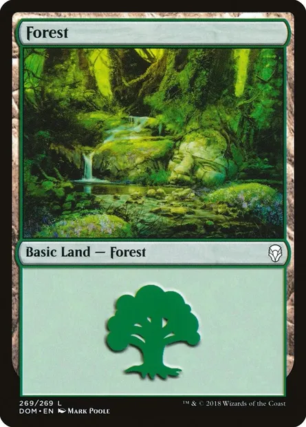 Forest, Magic card DOM 269 — Dominaria set
