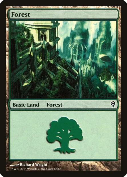Forest, Magic card DDM 88 — Duel Decks: Jace vs. Vraska set