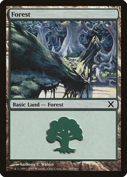 Forest, Magic card 10E 380 — Tenth Edition set