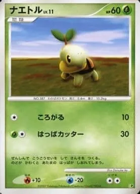 Turtwig Lv.11, Pokémon card DP-EP08 ct281315 — Entry Pack '08 set