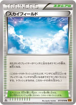Sky Field, Pokémon card XY6 077 — Emerald Break set
