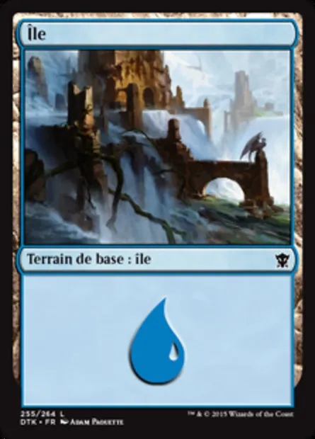 île, carte Magic DTK 255 — extension Les Dragons de Tarkir