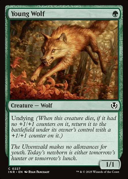 Young Wolf, Magic card INR 227 — Innistrad Remastered set