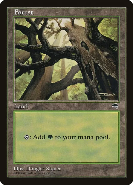 Forêt, carte Magic TMP 347 — extension Tempête