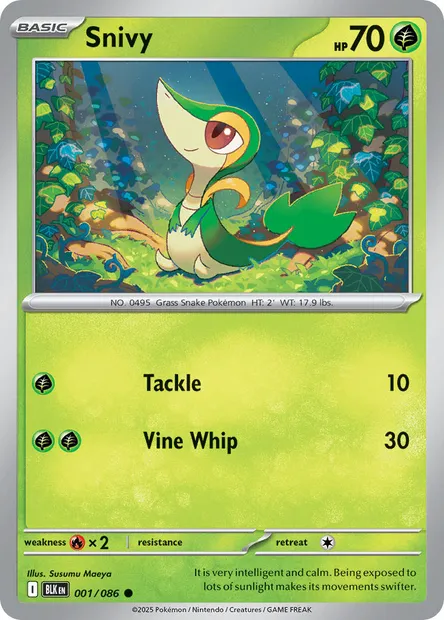 Snivy, Pokémon card BLK 001 — Black Bolt set