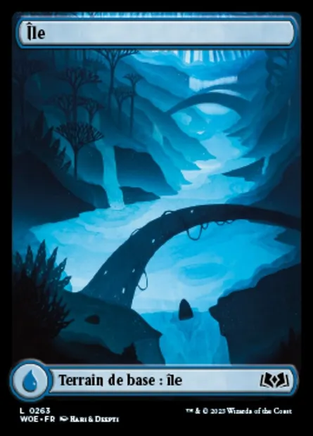 Île, carte Magic WOE 263 — extension Wilds of Eldraine