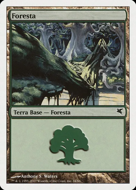 Forêt, carte Magic PSAL K34 — extension Salvat 2005
