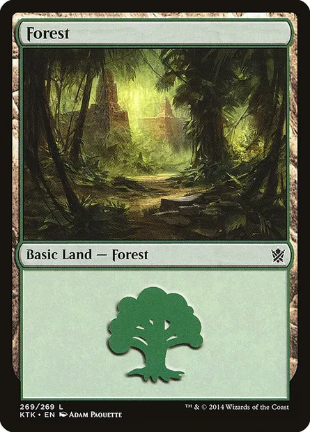 Forest, Magic card KTK 269 — Khans of Tarkir set