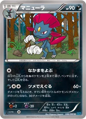 Weavile, Pokémon card XY2 046 — Wild Blaze set