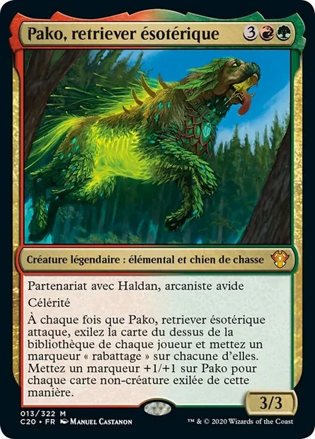 Pako, retriever ésotérique, carte Magic C20 13 — extension Commander 2020