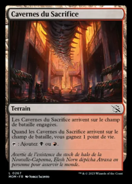 Cavernes du Sacrifice, carte Magic MOM 267 — extension L'invasion des machines