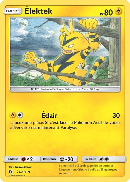 Élektek, carte Pokémon LOT 71 — extension Tonnerre Perdu