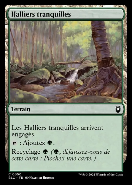 Halliers tranquilles, carte Magic BLC 350 — extension Bloomburrow Commander