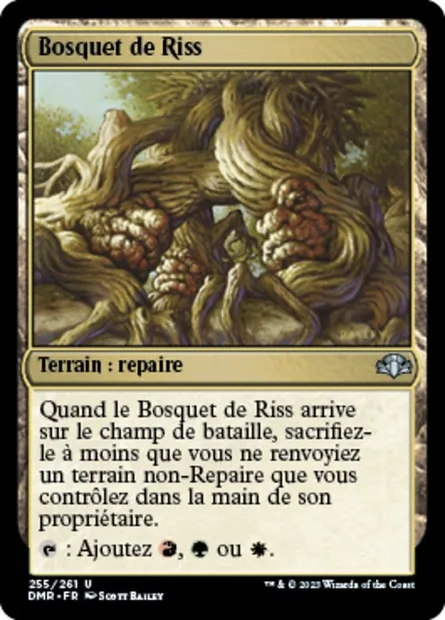 Bosquet de Riss, carte Magic DMR 255 — extension Dominaria Remastered