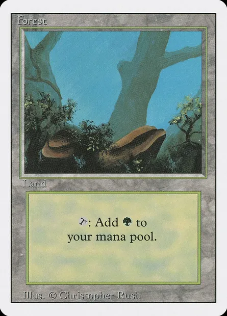 Forest, Magic card 3ED 304 — Revised Edition set