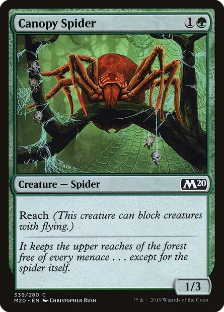 Canopy Spider, Magic card M20 339 — Core Set 2020 set