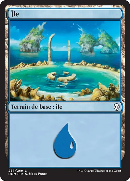 Île, carte Magic DOM 257 — extension Dominaria