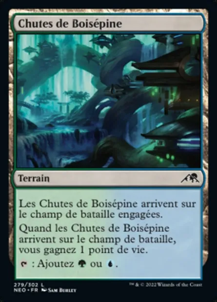 Chutes de Boisépine, carte Magic NEO 279 — extension Kamigawa: La Dynastie Néon