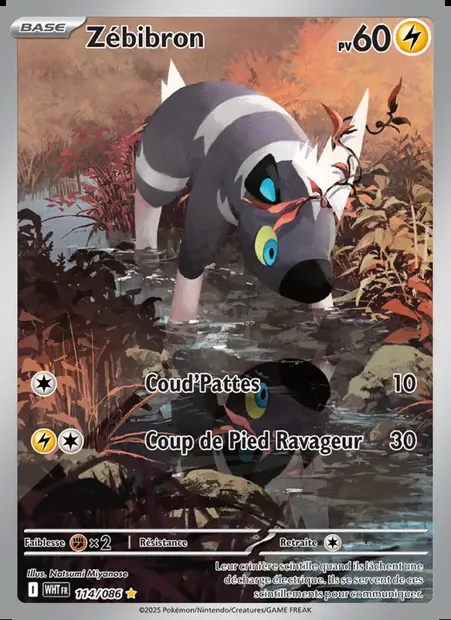 Zébibron, carte Pokémon WHT 114 — extension Flamme Blanche
