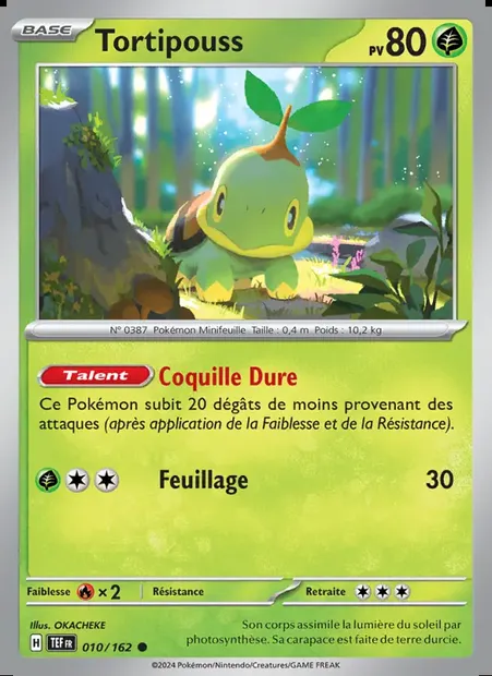 Tortipouss, carte Pokémon TEF 010 — extension Forces Temporelles