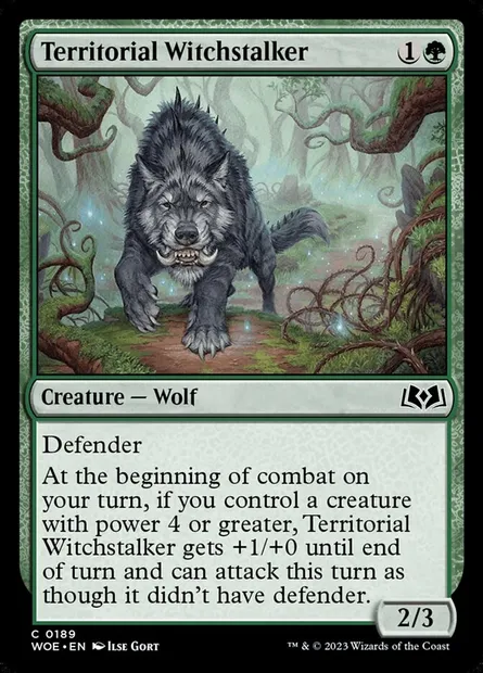 Territorial Witchstalker, Magic card WOE 189 — Wilds of Eldraine set