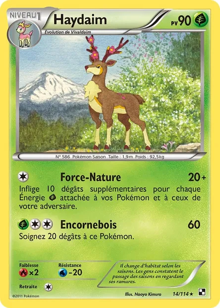 Haydaim, carte Pokémon BLW 14 — extension Noir & Blanc