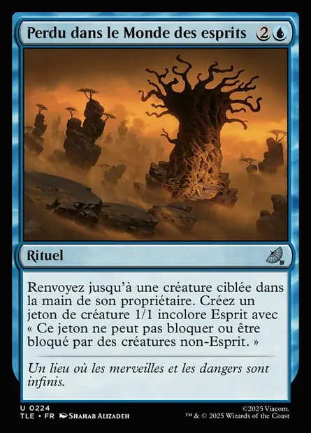 Perdu dans le Monde des esprits, carte Magic TLE 224 — extension Avatar: The Last Airbender Eternal