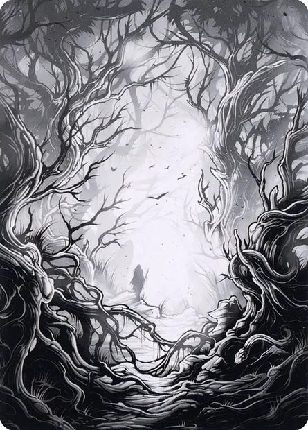Forest // Forest, carte Magic AMID 81 — extension Midnight Hunt Art Series